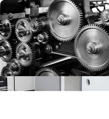 自动发现自动寻址